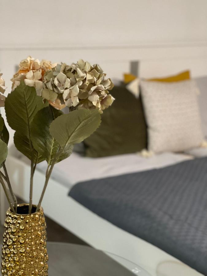 בודפשט Vintage Home In The Heart Of The City מראה חיצוני תמונה