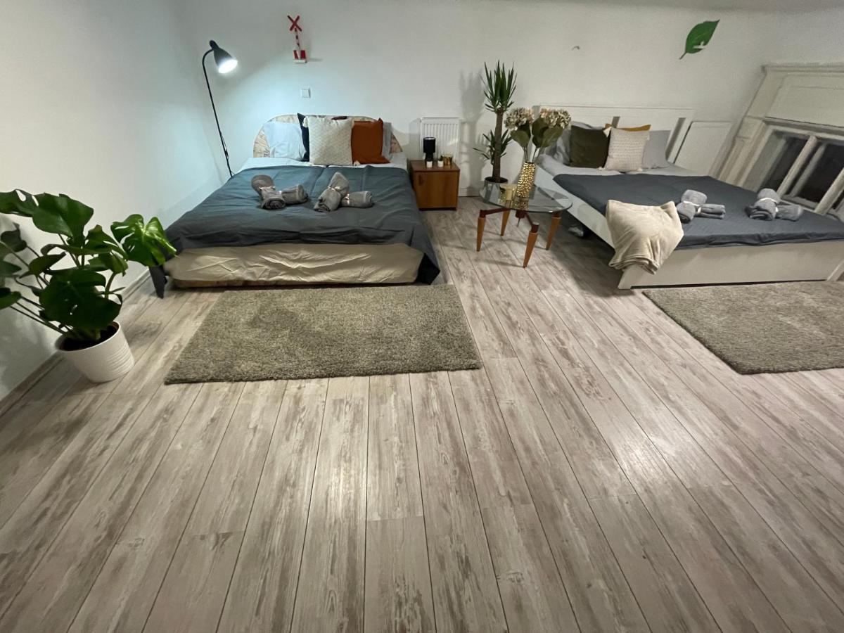 בודפשט Vintage Home In The Heart Of The City מראה חיצוני תמונה